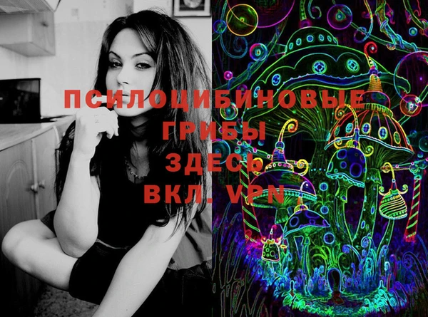 бошки Алзамай