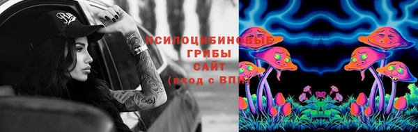соль ск Алексеевка