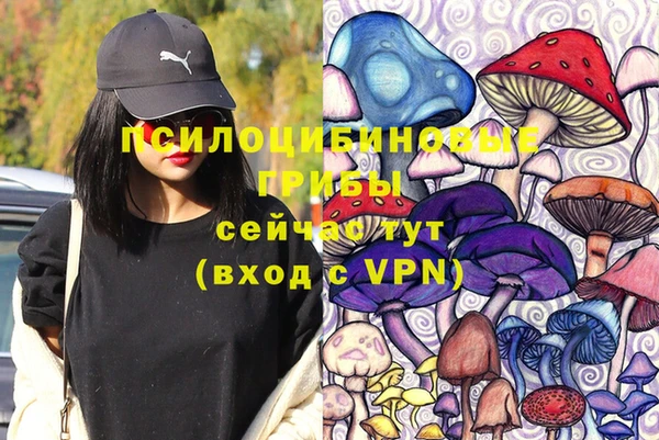 соль ск Алексеевка