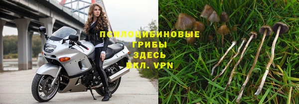 бошки Алзамай